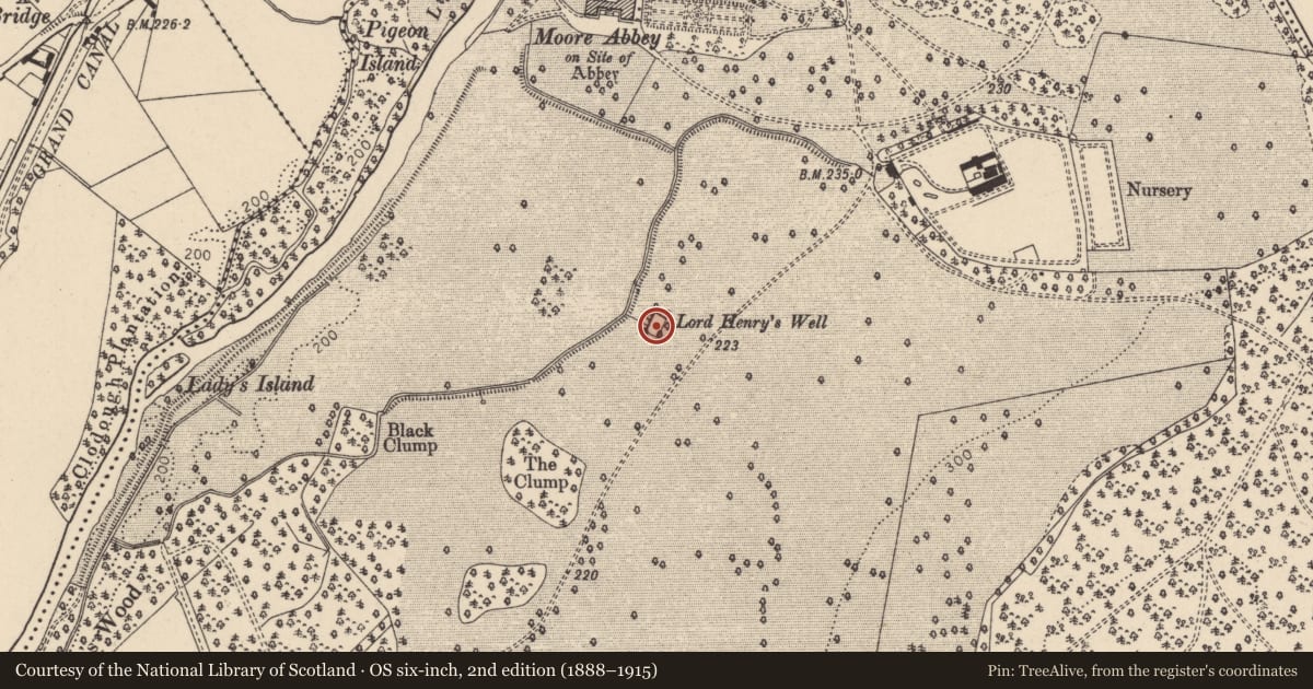 Ordnance Survey six-inch map, 2nd edition (1888–1915) covering the location of Ritual site - holy well, Mooreabbey Demesne, County Kildare, with a pin at the register's coordinates