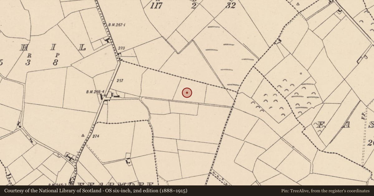 Ordnance Survey six-inch map, 2nd edition (1888–1915) covering the location of Enclosure, Lughil, County Kildare, with a pin at the register's coordinates