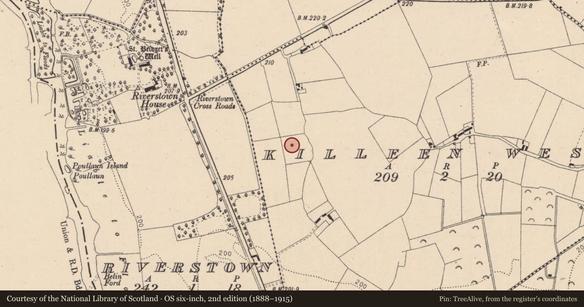 Ordnance Survey six-inch map, 2nd edition (1888–1915) covering the location of Enclosure, Killeen West, County Kildare, with a pin at the register's coordinates