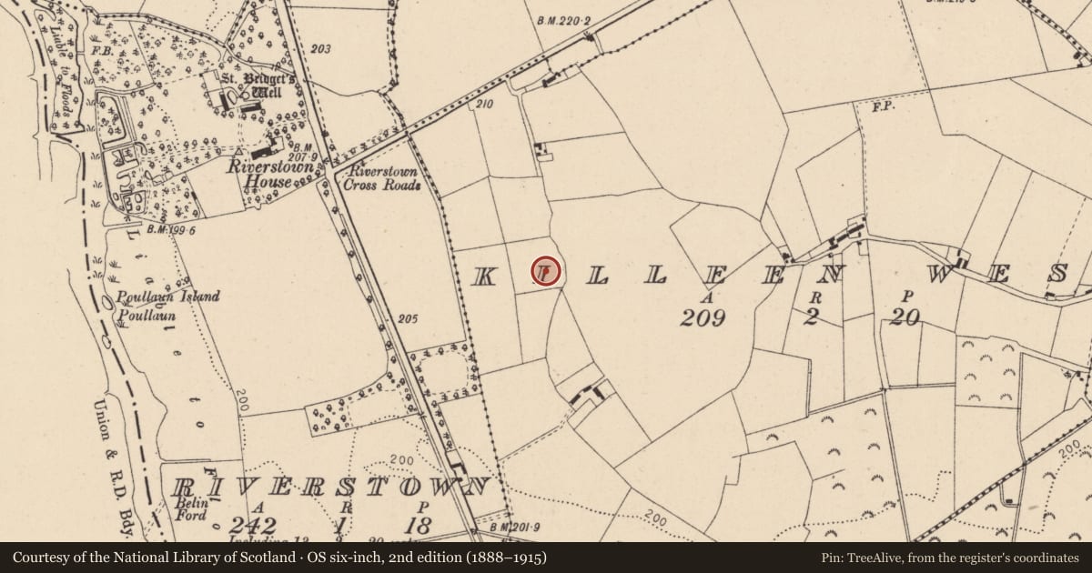 Ordnance Survey six-inch map, 2nd edition (1888–1915) covering the location of Enclosure, Killeen West, County Kildare, with a pin at the register's coordinates
