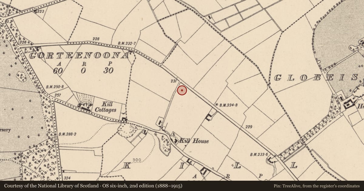 Ordnance Survey six-inch map, 2nd edition (1888–1915) covering the location of Habitation site, Kill, County Kildare, with a pin at the register's coordinates