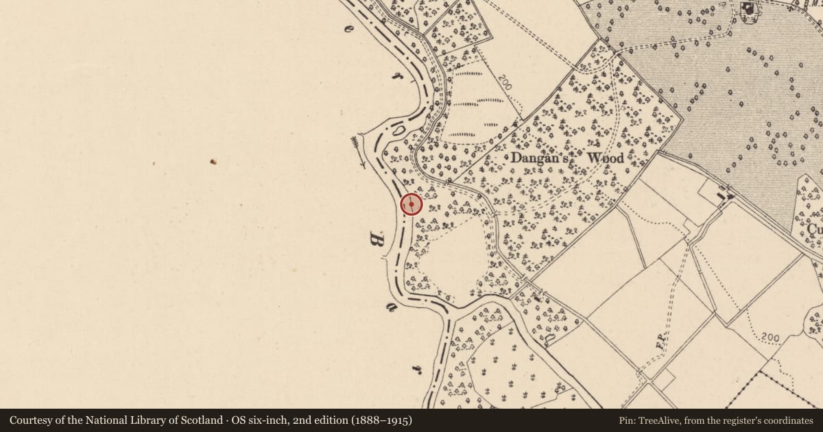 Ordnance Survey six-inch map, 2nd edition (1888–1915) covering the location of Hearth, Mooreabbey Demesne, County Kildare, with a pin at the register's coordinates