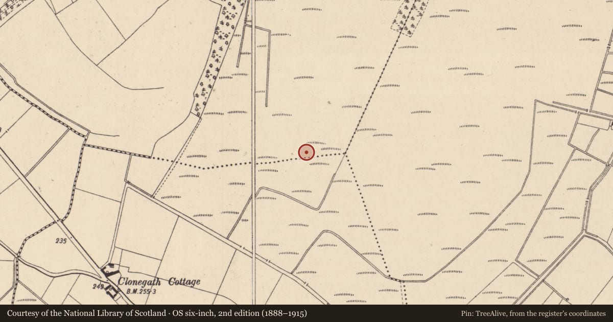Ordnance Survey six-inch map, 2nd edition (1888–1915) covering the location of Road - class 1 togher, Globeisland Or Cloncarlin, County Kildare, with a pin at the register's coordinates