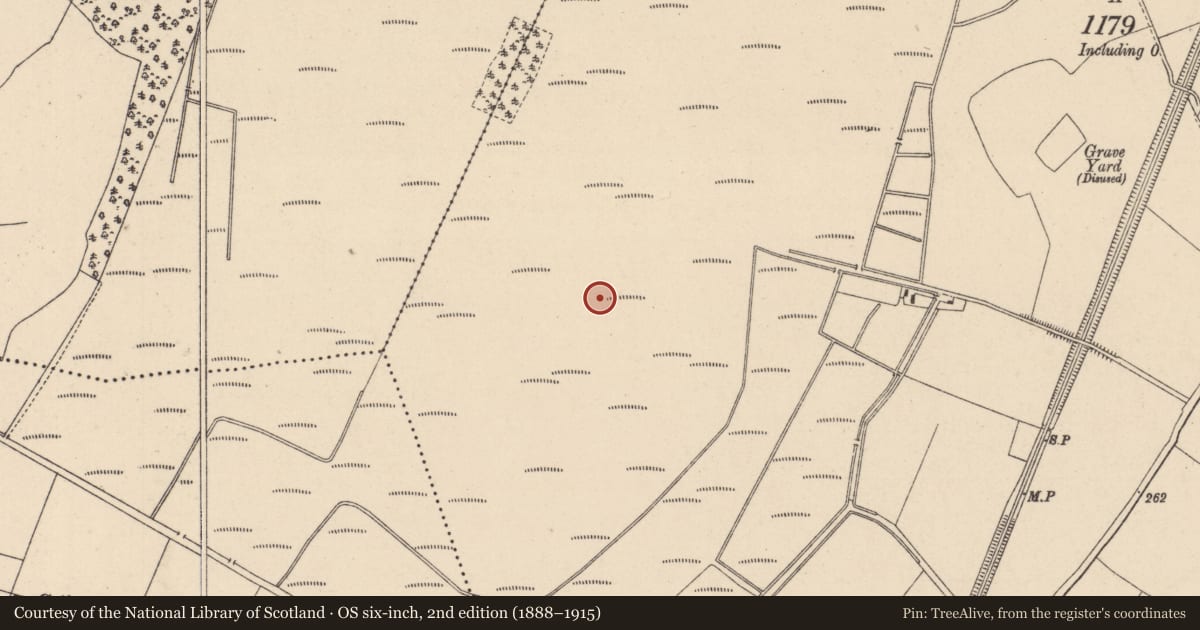 Ordnance Survey six-inch map, 2nd edition (1888–1915) covering the location of Road - unclassified togher, Globeisland Or Cloncarlin, Oghil, County Kildare, with a pin at the register's coordinates
