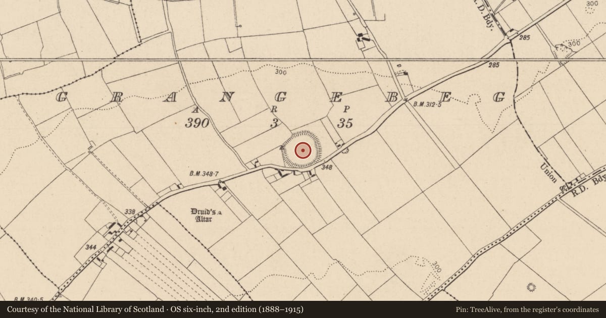 Ordnance Survey six-inch map, 2nd edition (1888–1915) covering the location of Enclosure, Grangebeg, County Kildare, with a pin at the register's coordinates