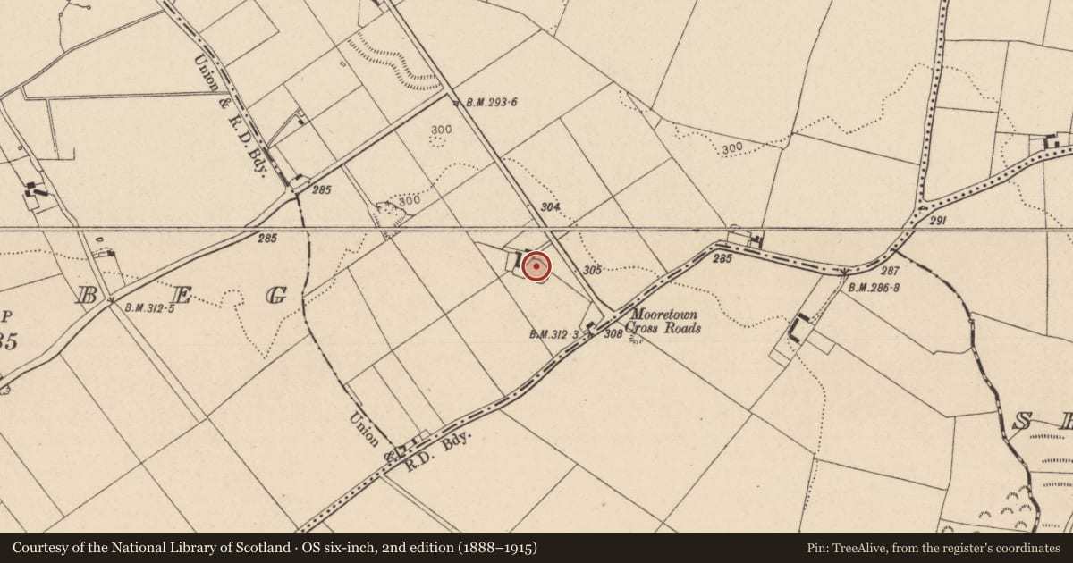 Ordnance Survey six-inch map, 2nd edition (1888–1915) covering the location of Ringfort - unclassified, Mooretown, County Kildare, with a pin at the register's coordinates