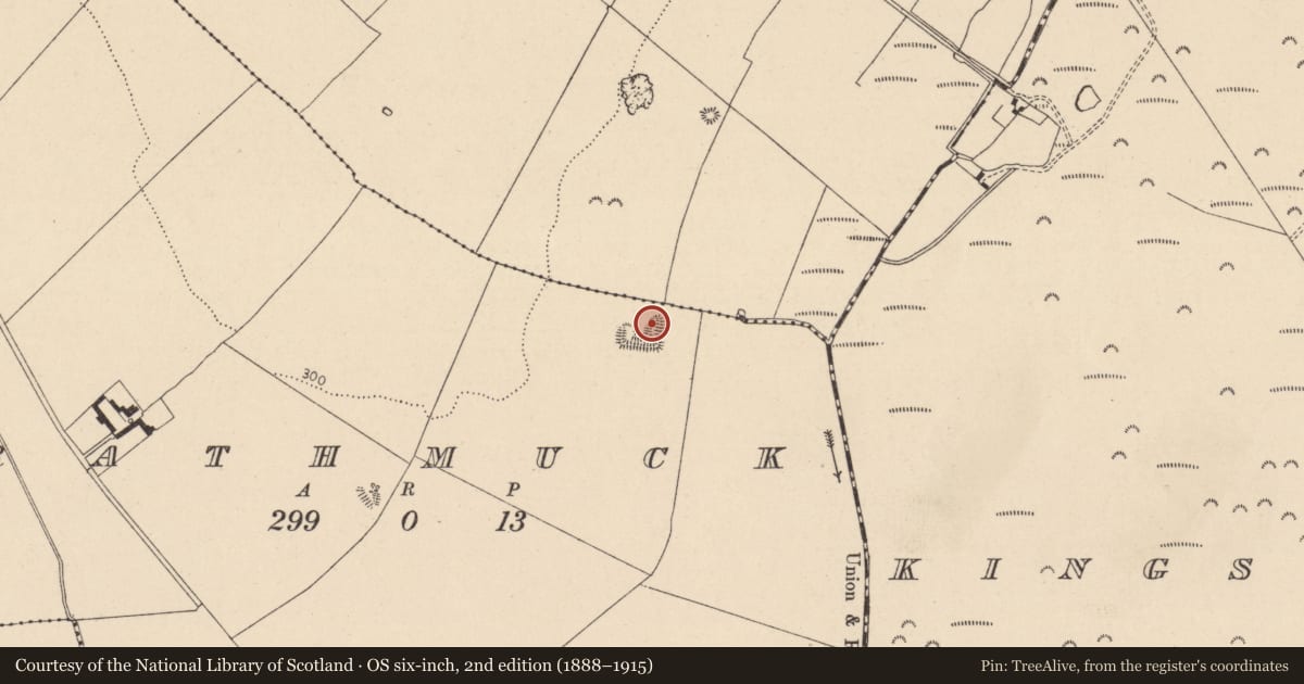 Ordnance Survey six-inch map, 2nd edition (1888–1915) covering the location of Enclosure, Rathmuck, County Kildare, with a pin at the register's coordinates