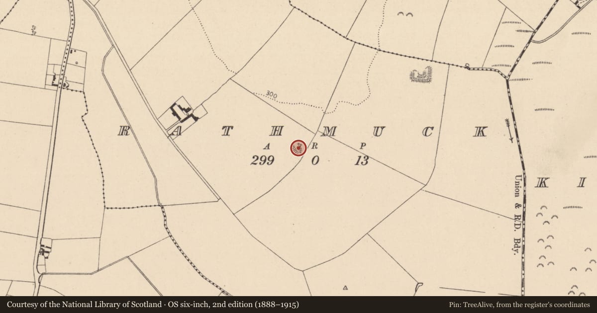 Ordnance Survey six-inch map, 2nd edition (1888–1915) covering the location of Ringfort - rath, Rathmuck, County Kildare, with a pin at the register's coordinates