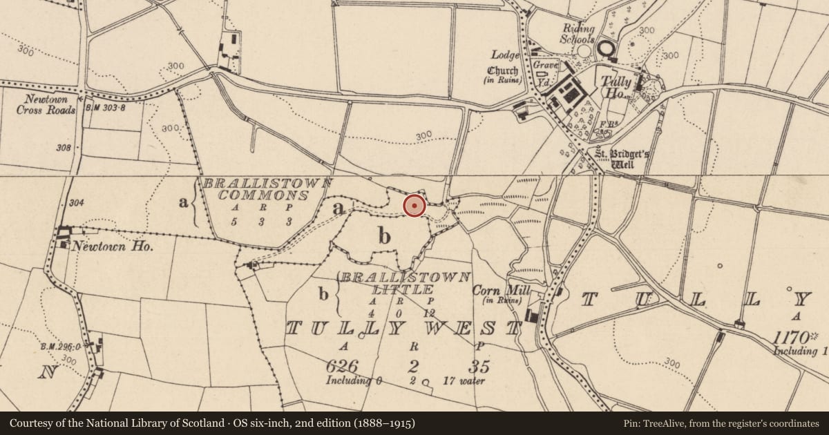Ordnance Survey six-inch map, 2nd edition (1888–1915) covering the location of Ritual site - holy well, Brallistown Commons, County Kildare, with a pin at the register's coordinates