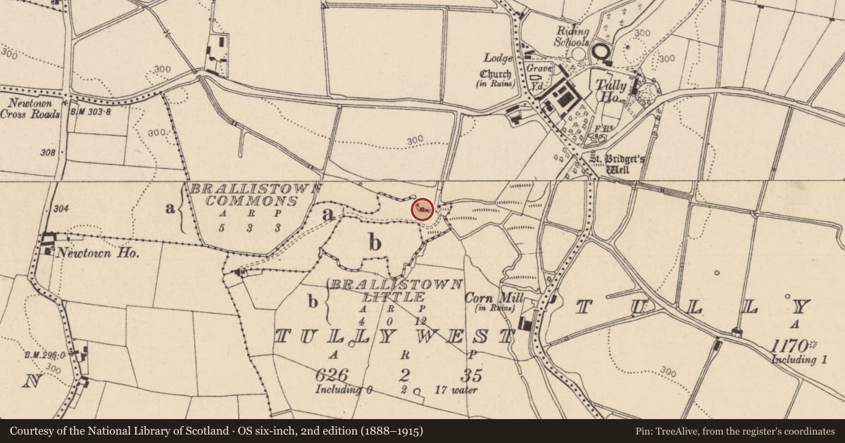 Ordnance Survey six-inch map, 2nd edition (1888–1915) covering the location of Architectural fragment, Brallistown Commons, County Kildare, with a pin at the register's coordinates