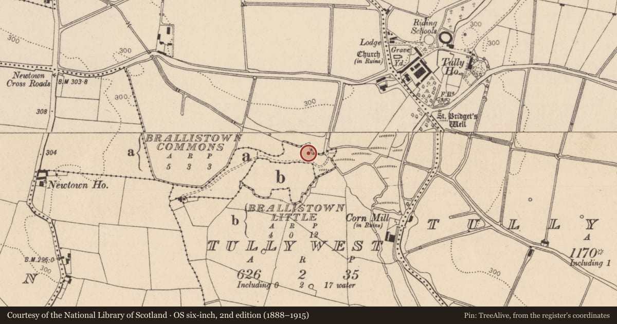 Ordnance Survey six-inch map, 2nd edition (1888–1915) covering the location of Water mill - horizontal-wheeled, Brallistown Commons, County Kildare, with a pin at the register's coordinates