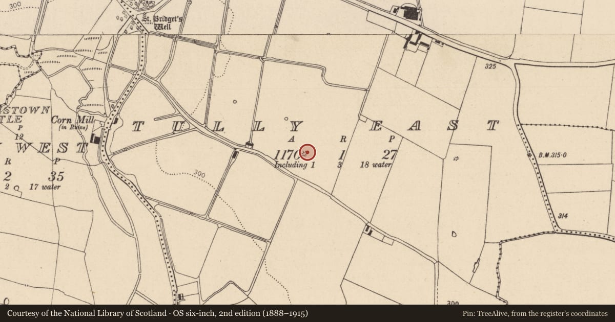Ordnance Survey six-inch map, 2nd edition (1888–1915) covering the location of Mound, Tully East, County Kildare, with a pin at the register's coordinates