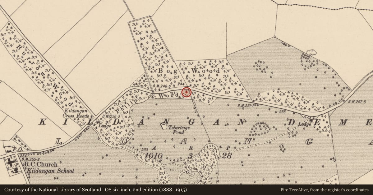 Ordnance Survey six-inch map, 2nd edition (1888–1915) covering the location of Enclosure, Kildangan, County Kildare, with a pin at the register's coordinates
