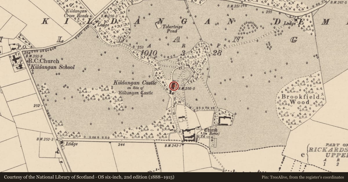 Ordnance Survey six-inch map, 2nd edition (1888–1915) covering the location of Castle - unclassified, Kildangan, County Kildare, with a pin at the register's coordinates
