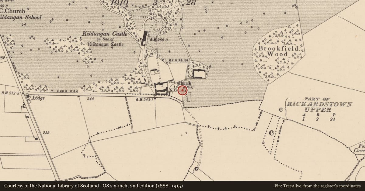 Ordnance Survey six-inch map, 2nd edition (1888–1915) covering the location of Church, Kildangan, County Kildare, with a pin at the register's coordinates
