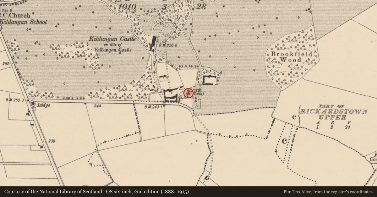 Ordnance Survey six-inch map, 2nd edition (1888–1915) covering the location of Graveyard, Kildangan, County Kildare, with a pin at the register's coordinates