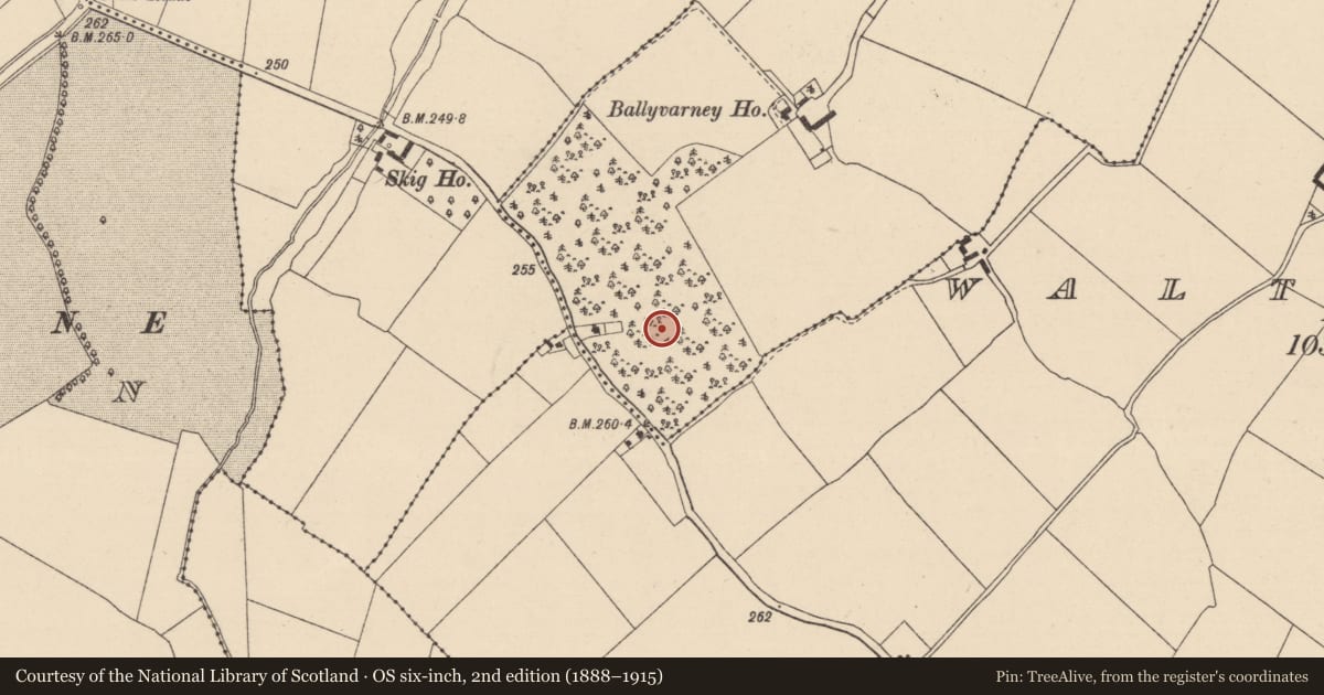Ordnance Survey six-inch map, 2nd edition (1888–1915) covering the location of Church, Ballyvarney, County Kildare, with a pin at the register's coordinates