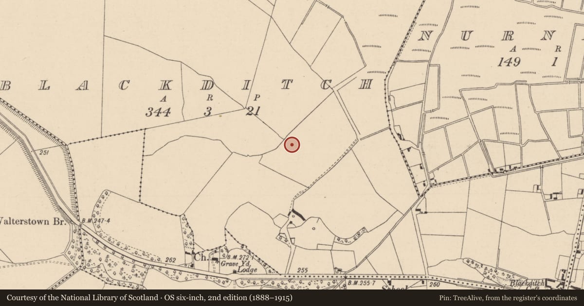 Ordnance Survey six-inch map, 2nd edition (1888–1915) covering the location of Enclosure, Blackditch, County Kildare, with a pin at the register's coordinates