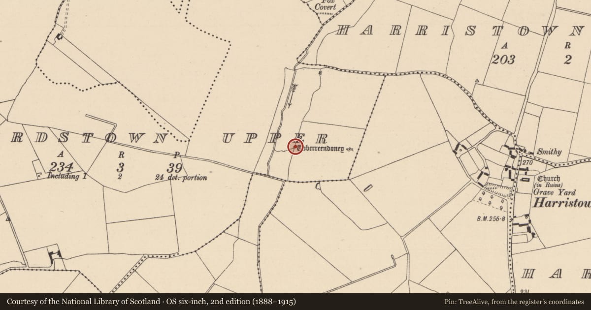 Ordnance Survey six-inch map, 2nd edition (1888–1915) covering the location of Ritual site - holy well, Rickardstown Upper, County Kildare, with a pin at the register's coordinates