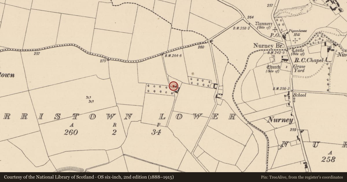 Ordnance Survey six-inch map, 2nd edition (1888–1915) covering the location of Enclosure, Harristown Lower, County Kildare, with a pin at the register's coordinates