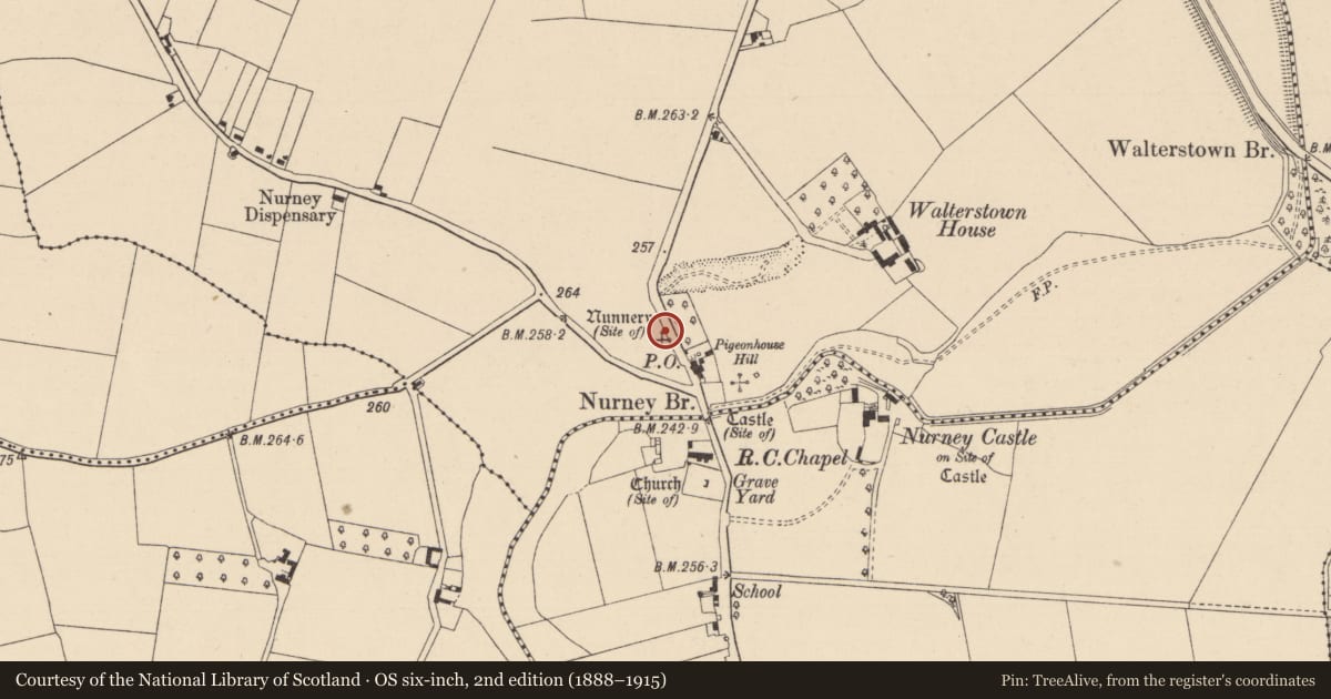 Ordnance Survey six-inch map, 2nd edition (1888–1915) covering the location of Religious house - unclassified, Walterstown, County Kildare, with a pin at the register's coordinates