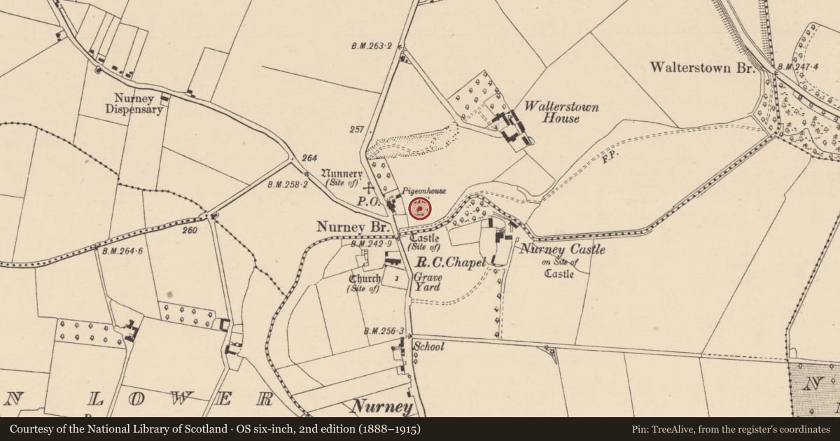 Ordnance Survey six-inch map, 2nd edition (1888–1915) covering the location of Castle - unclassified, Walterstown, County Kildare, with a pin at the register's coordinates