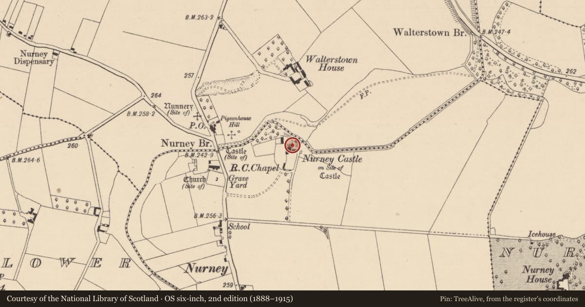 Ordnance Survey six-inch map, 2nd edition (1888–1915) covering the location of Castle - unclassified, Nurney, County Kildare, with a pin at the register's coordinates