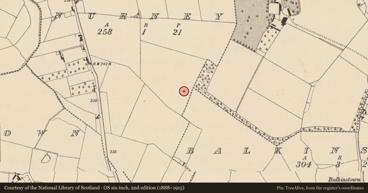 Ordnance Survey six-inch map, 2nd edition (1888–1915) covering the location of Enclosure, Nurney, County Kildare, with a pin at the register's coordinates
