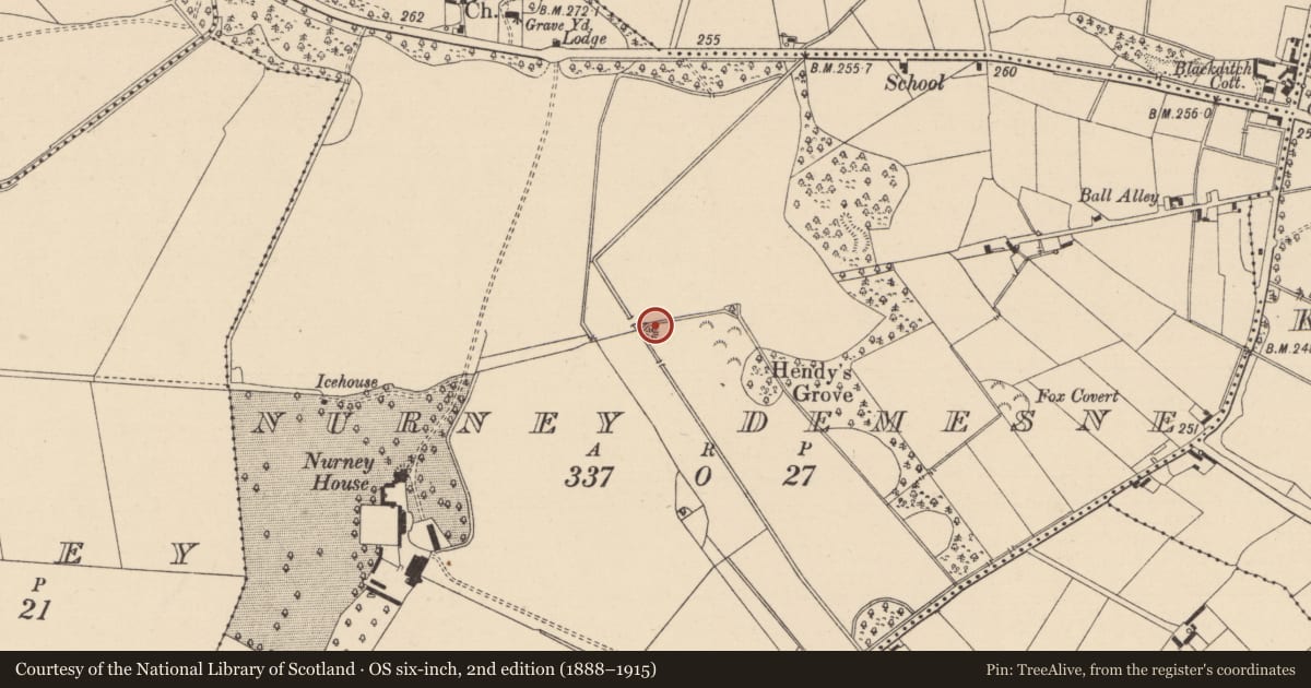 Ordnance Survey six-inch map, 2nd edition (1888–1915) covering the location of Mound, Nurney Demesne, County Kildare, with a pin at the register's coordinates