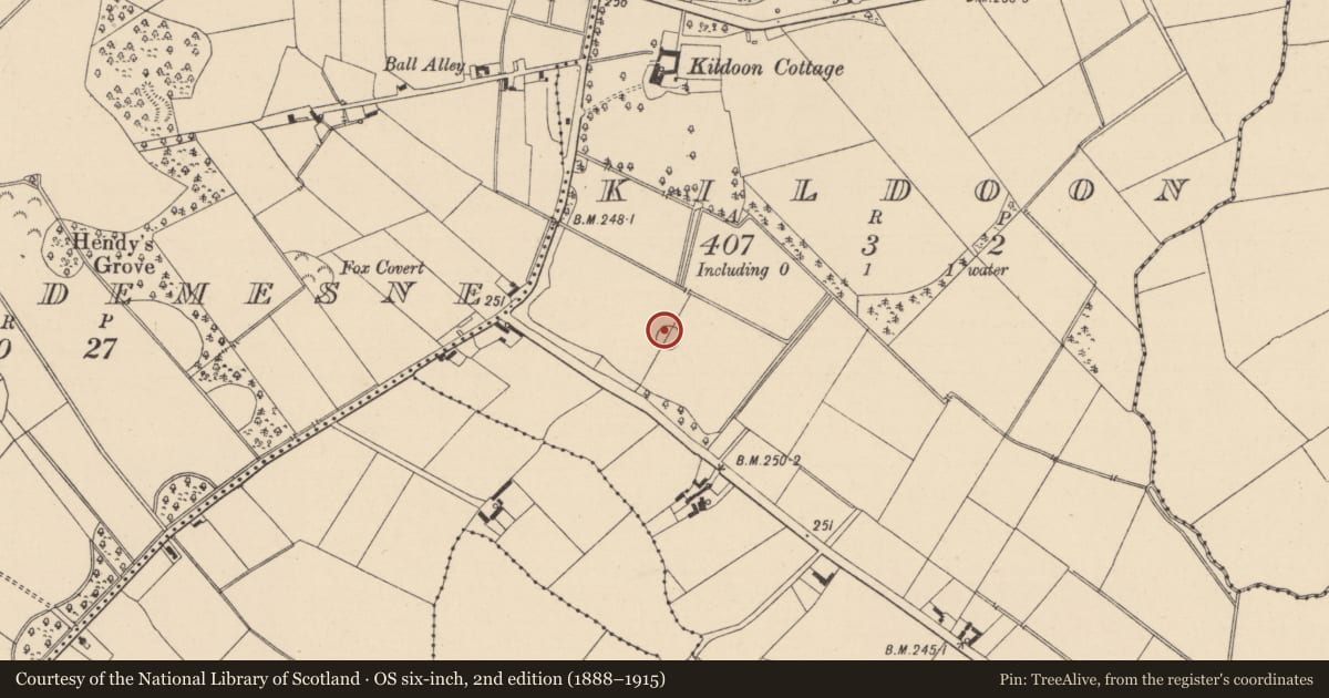 Ordnance Survey six-inch map, 2nd edition (1888–1915) covering the location of Enclosure, Kildoon, County Kildare, with a pin at the register's coordinates