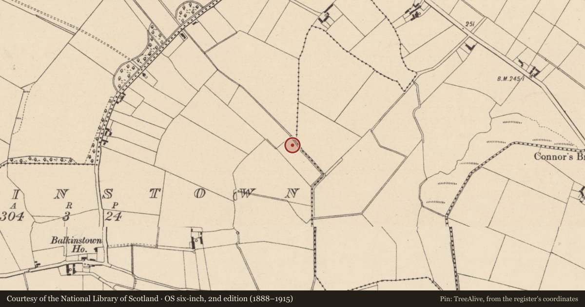 Ordnance Survey six-inch map, 2nd edition (1888–1915) covering the location of Fulacht fia, Balkinstown, County Kildare, with a pin at the register's coordinates