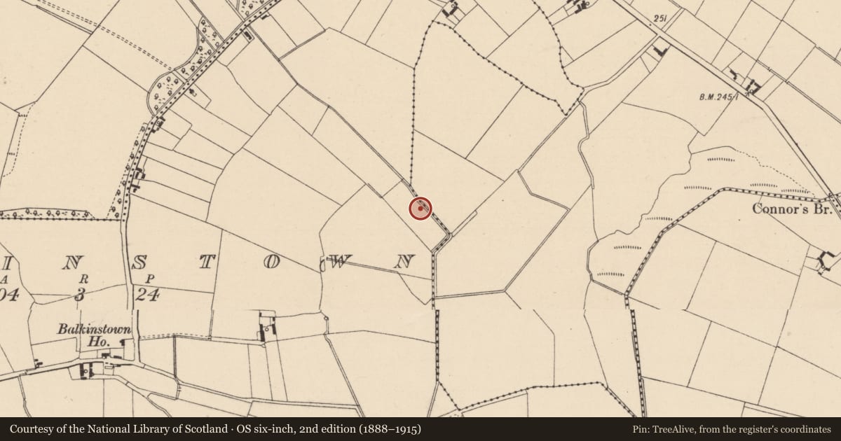 Ordnance Survey six-inch map, 2nd edition (1888–1915) covering the location of Fulacht fia, Balkinstown, County Kildare, with a pin at the register's coordinates