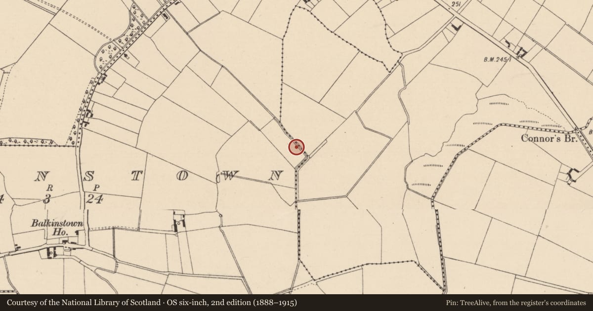 Ordnance Survey six-inch map, 2nd edition (1888–1915) covering the location of Fulacht fia, Balkinstown, County Kildare, with a pin at the register's coordinates