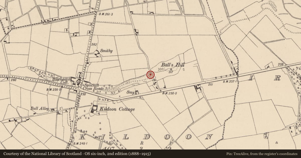 Ordnance Survey six-inch map, 2nd edition (1888–1915) covering the location of Enclosure, Kildoon, County Kildare, with a pin at the register's coordinates
