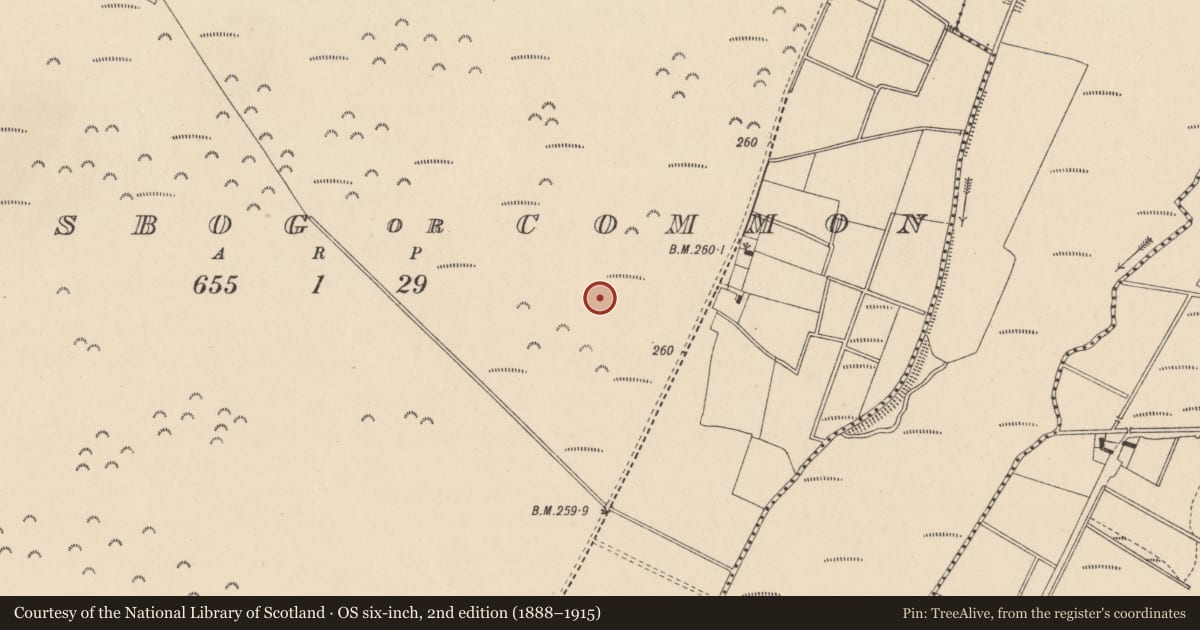 Ordnance Survey six-inch map, 2nd edition (1888–1915) covering the location of Barrow - pond barrow, Kingsbog Or Common, County Kildare, with a pin at the register's coordinates