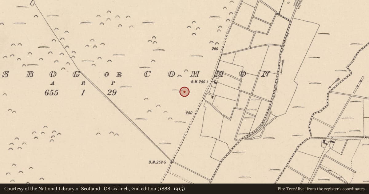 Ordnance Survey six-inch map, 2nd edition (1888–1915) covering the location of Barrow - ring-barrow, Kingsbog Or Common, County Kildare, with a pin at the register's coordinates