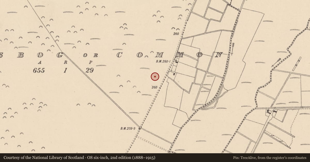 Ordnance Survey six-inch map, 2nd edition (1888–1915) covering the location of Barrow - ring-barrow, Kingsbog Or Common, County Kildare, with a pin at the register's coordinates