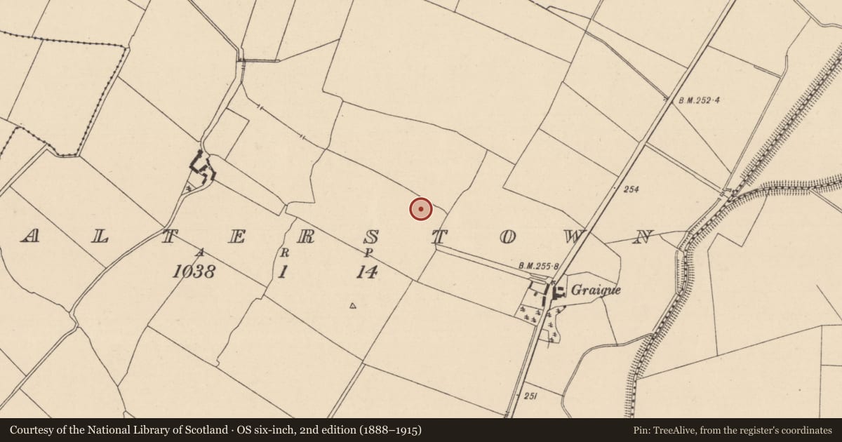 Ordnance Survey six-inch map, 2nd edition (1888–1915) covering the location of Enclosure, Walterstown, County Kildare, with a pin at the register's coordinates