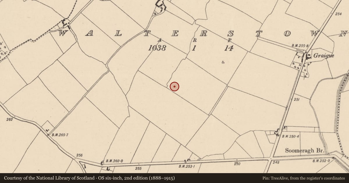 Ordnance Survey six-inch map, 2nd edition (1888–1915) covering the location of Enclosure - large enclosure, Walterstown, County Kildare, with a pin at the register's coordinates