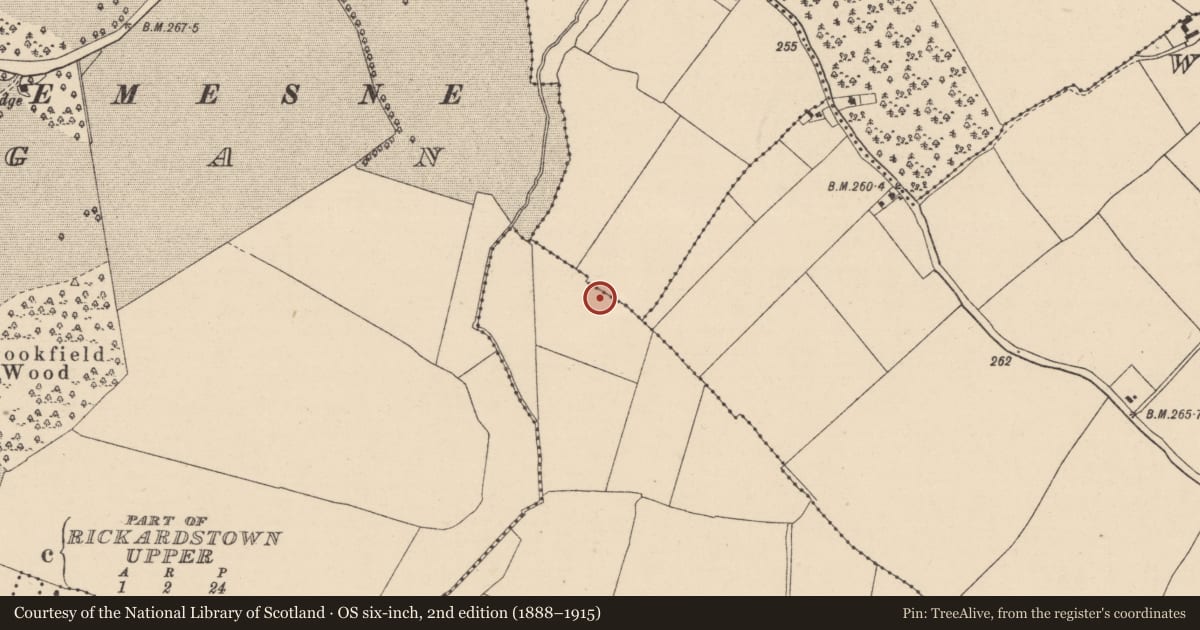 Ordnance Survey six-inch map, 2nd edition (1888–1915) covering the location of Ring-ditch, Harristown Upper, County Kildare, with a pin at the register's coordinates