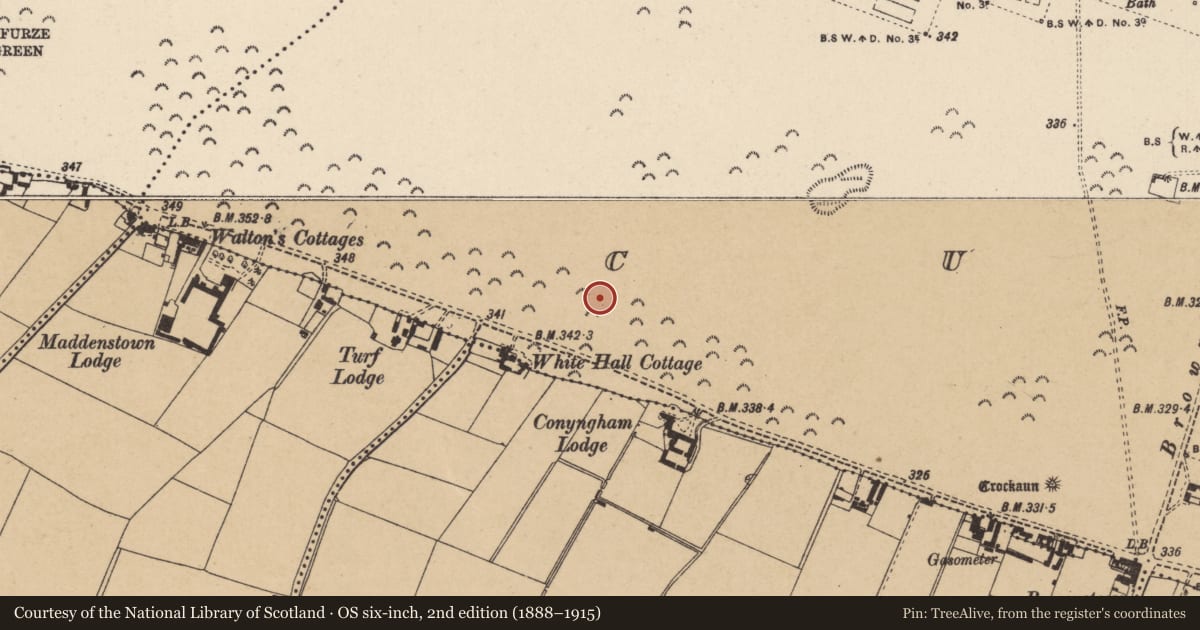 Ordnance Survey six-inch map, 2nd edition (1888–1915) covering the location of Barrow - ring-barrow, Curragh, County Kildare, with a pin at the register's coordinates