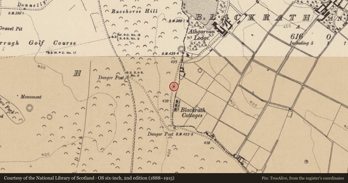 Ordnance Survey six-inch map, 2nd edition (1888–1915) covering the location of Barrow - ring-barrow, Curragh, County Kildare, with a pin at the register's coordinates