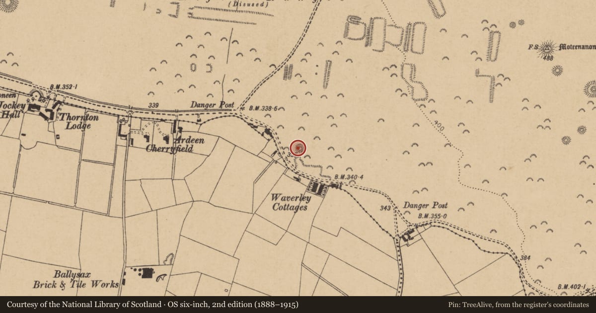 Ordnance Survey six-inch map, 2nd edition (1888–1915) covering the location of Barrow - ring-barrow, Curragh, County Kildare, with a pin at the register's coordinates