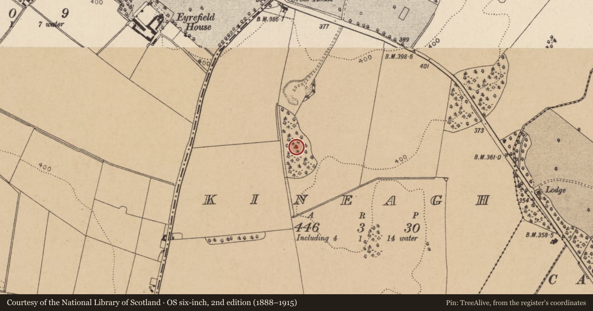 Ordnance Survey six-inch map, 2nd edition (1888–1915) covering the location of Enclosure, Kineagh, County Kildare, with a pin at the register's coordinates