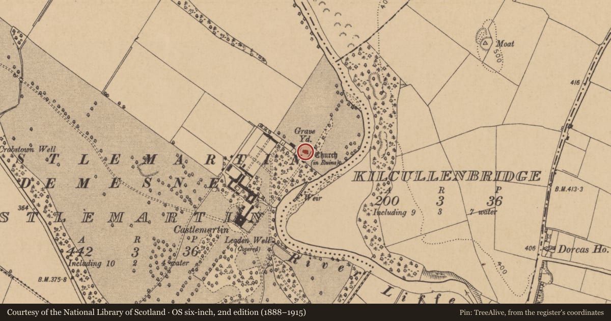 Ordnance Survey six-inch map, 2nd edition (1888–1915) covering the location of Church, Castlemartin, County Kildare, with a pin at the register's coordinates