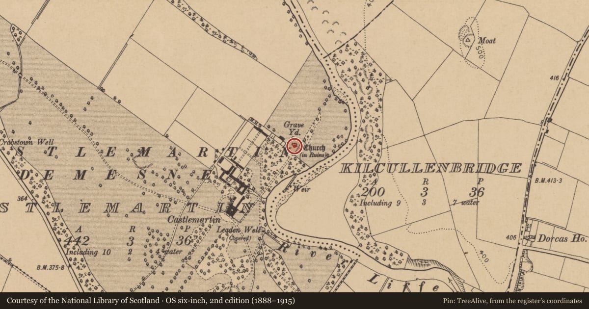 Ordnance Survey six-inch map, 2nd edition (1888–1915) covering the location of Graveyard, Castlemartin, County Kildare, with a pin at the register's coordinates