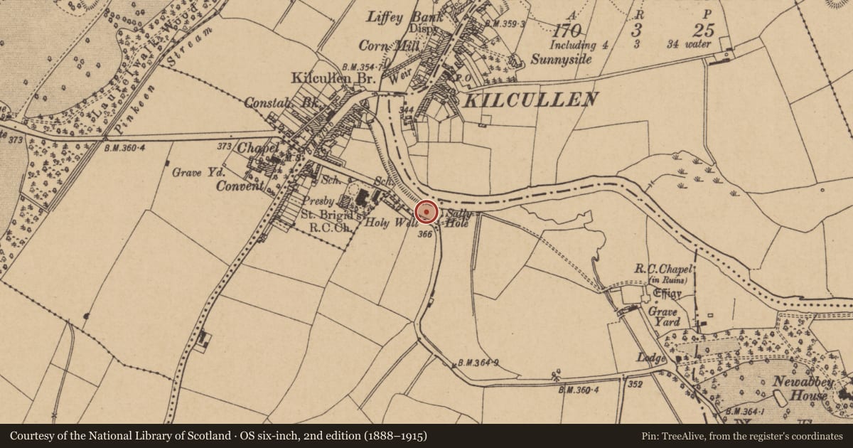 Ordnance Survey six-inch map, 2nd edition (1888–1915) covering the location of Ritual site - holy well, Kilcullenbridge, County Kildare, with a pin at the register's coordinates