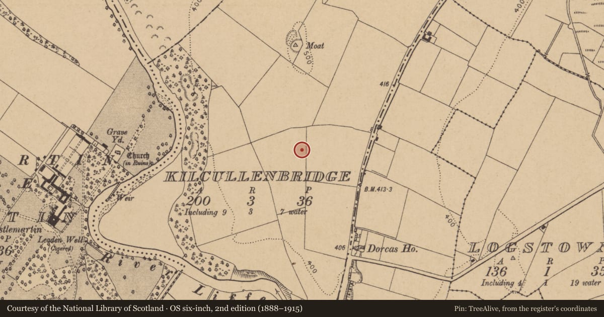 Ordnance Survey six-inch map, 2nd edition (1888–1915) covering the location of Enclosure, Kilcullenbridge, County Kildare, with a pin at the register's coordinates