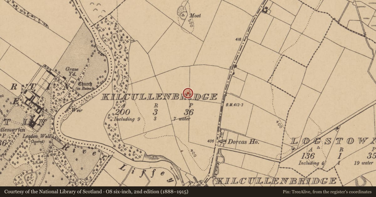 Ordnance Survey six-inch map, 2nd edition (1888–1915) covering the location of Enclosure, Kilcullenbridge, County Kildare, with a pin at the register's coordinates