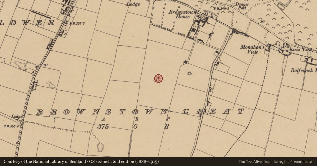 Ordnance Survey six-inch map, 2nd edition (1888–1915) covering the location of Enclosure, Brownstown Great, County Kildare, with a pin at the register's coordinates